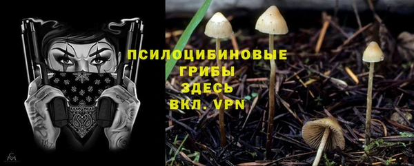 мяу мяу кристалл Магас