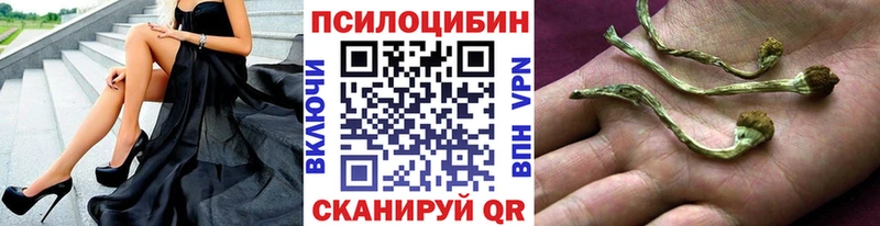 купить наркотики цена Щигры blacksprut Галлюциногенные грибы ЛСД